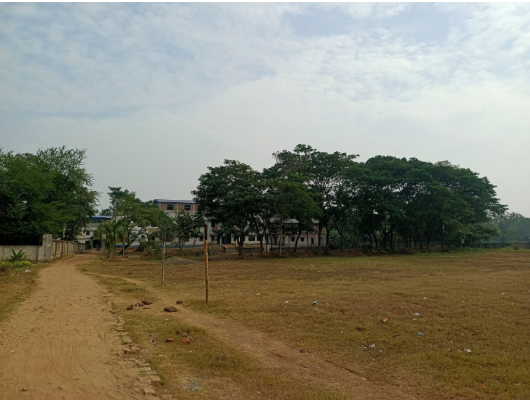 School Ground